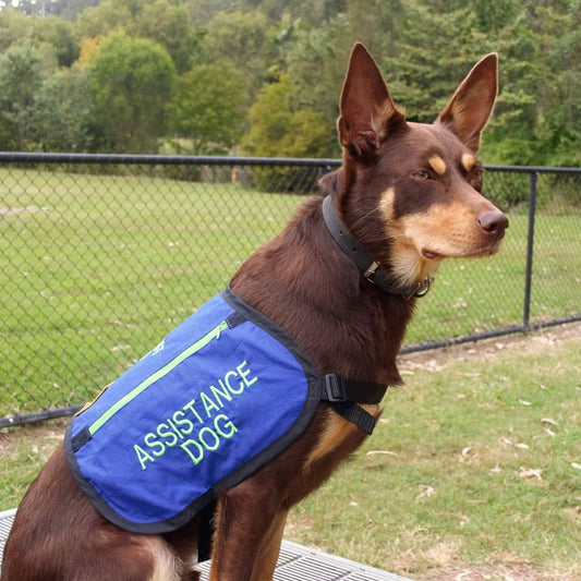 Assistance Dog vest Embroided
