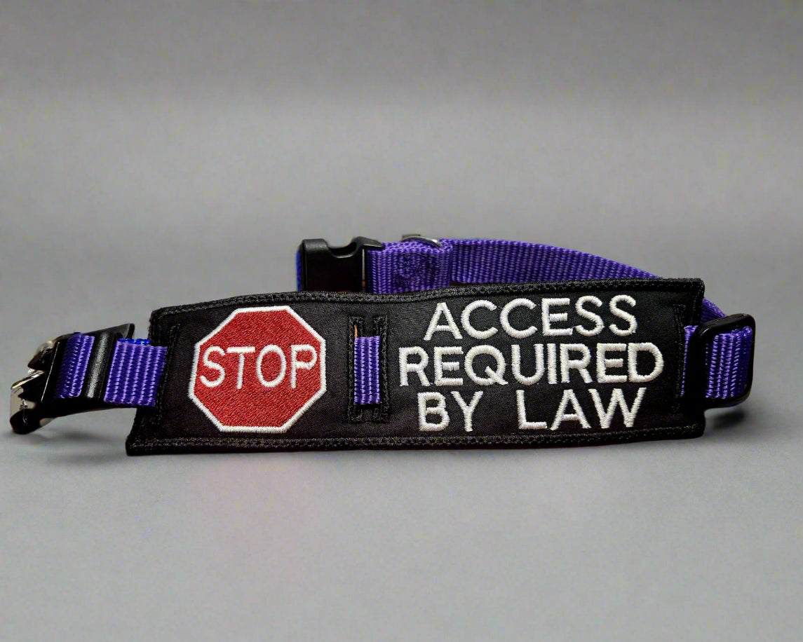 NEW PRODUCT - Custom Leash SLIDE
